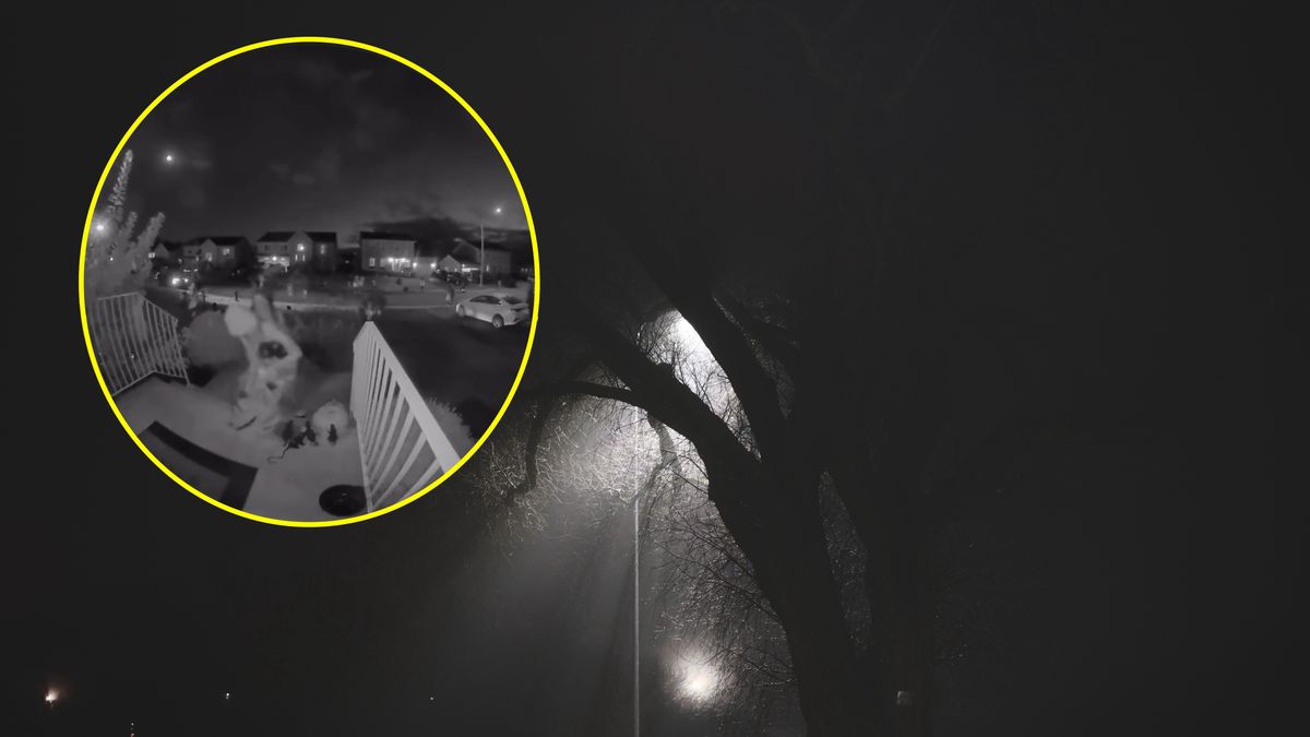 Polka pokazała nagranie z przydomowej kamery w Kanadzie