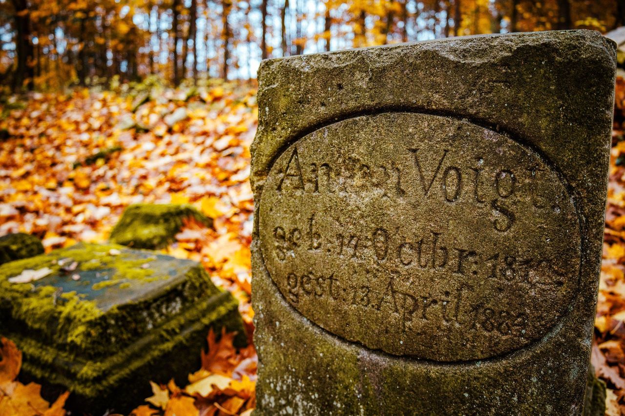 Świerklaniec: Zapomniany leśny cmentarz magnatów na Śląsku