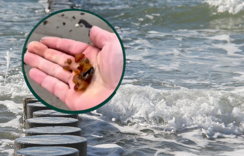 Wśród kamieni i patyków czekał skarb. Plaża w Krynicy Morskiej zaskoczyła