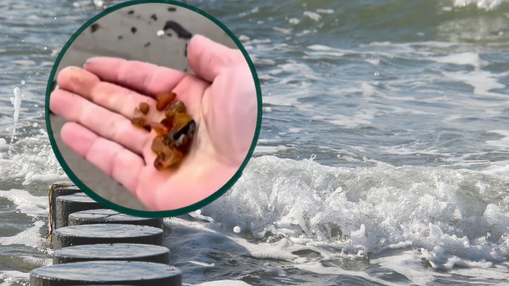 Znalazł to na plaży