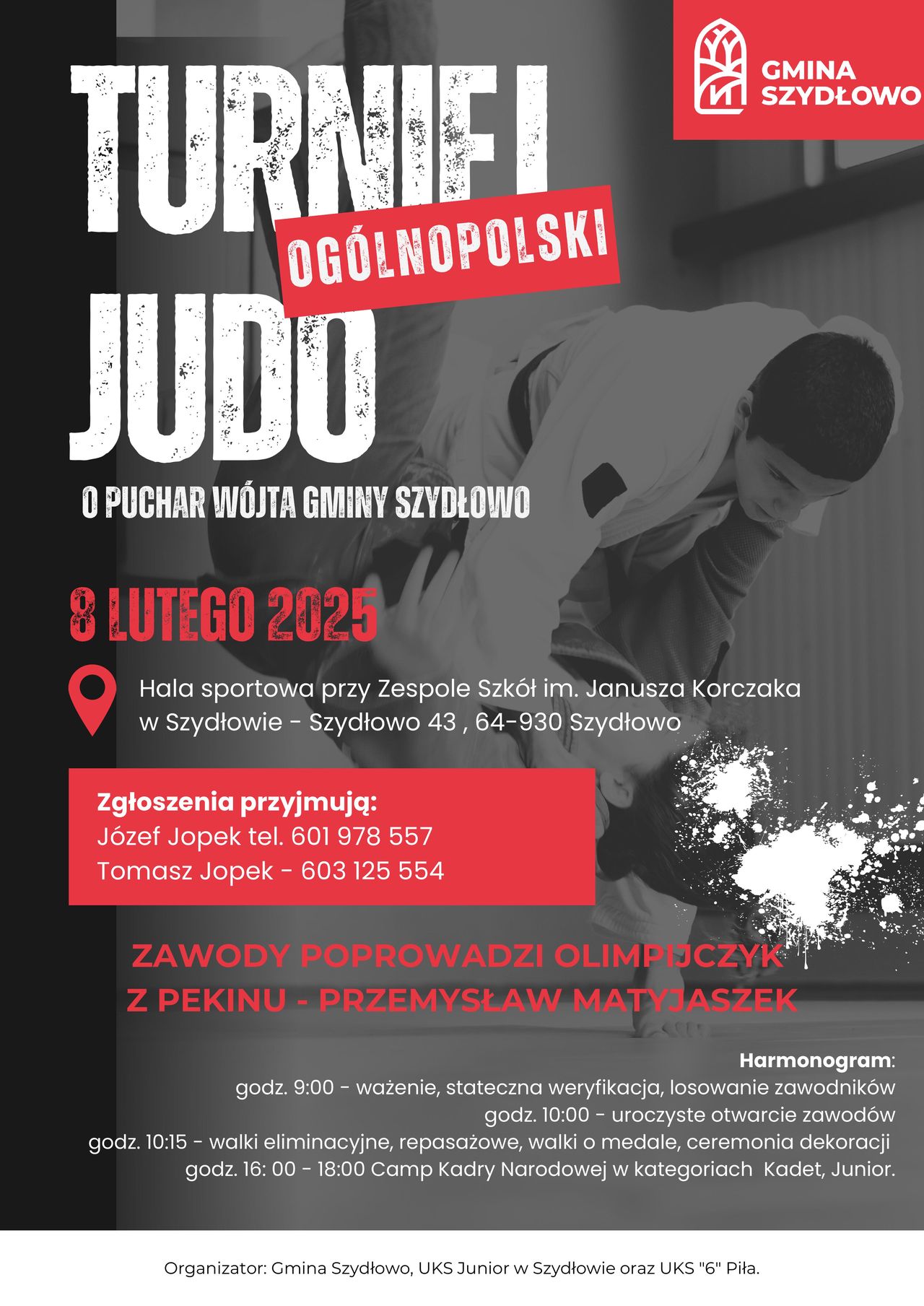 judo