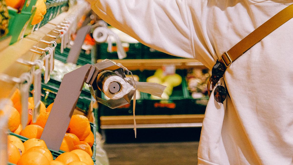 Zrywek można używać tylko do pakowania warzyw czy owoców. W innym przypadku trzeba za nie zapłacić  