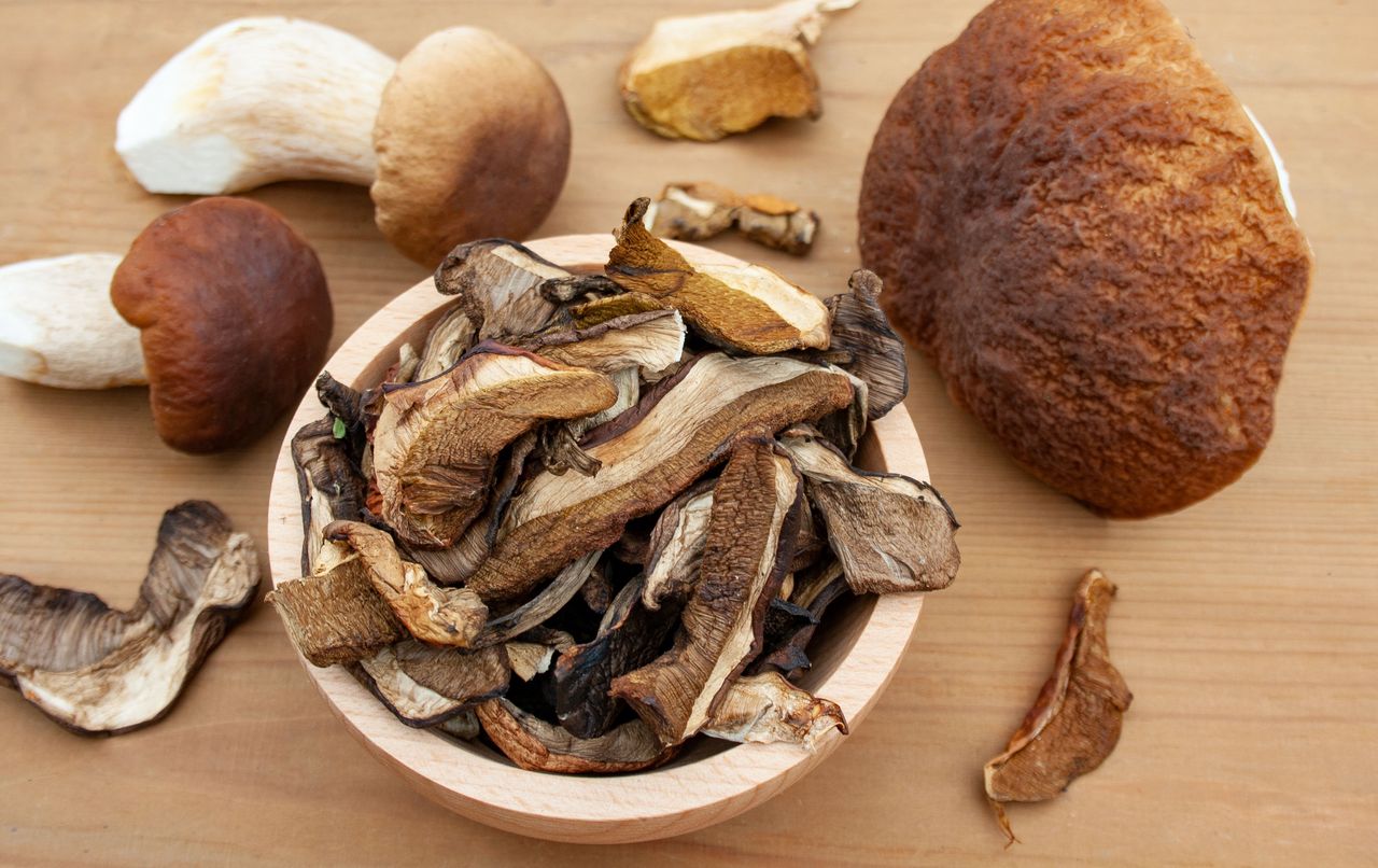 How to properly dry mushrooms: Avoid these common mistakes