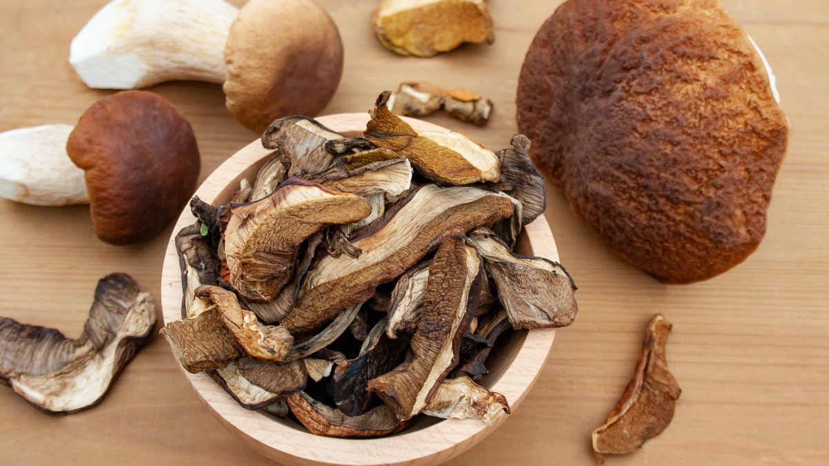 Jeden błąd wystarczy, by zmarnować zapasy grzybów. 