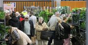 Radom: Festiwal Roślin przyciąga tłumy. Nowe gatunki, szeroki wybór