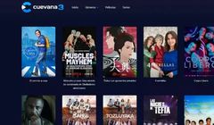 Jeden z największych pirackich serwisów streamingowych na świecie zamknięty