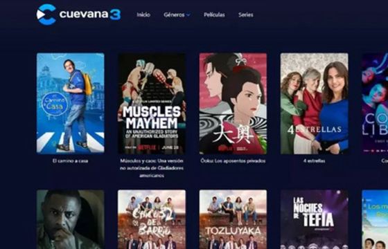 Jeden z największych pirackich serwisów streamingowych na świecie zamknięty