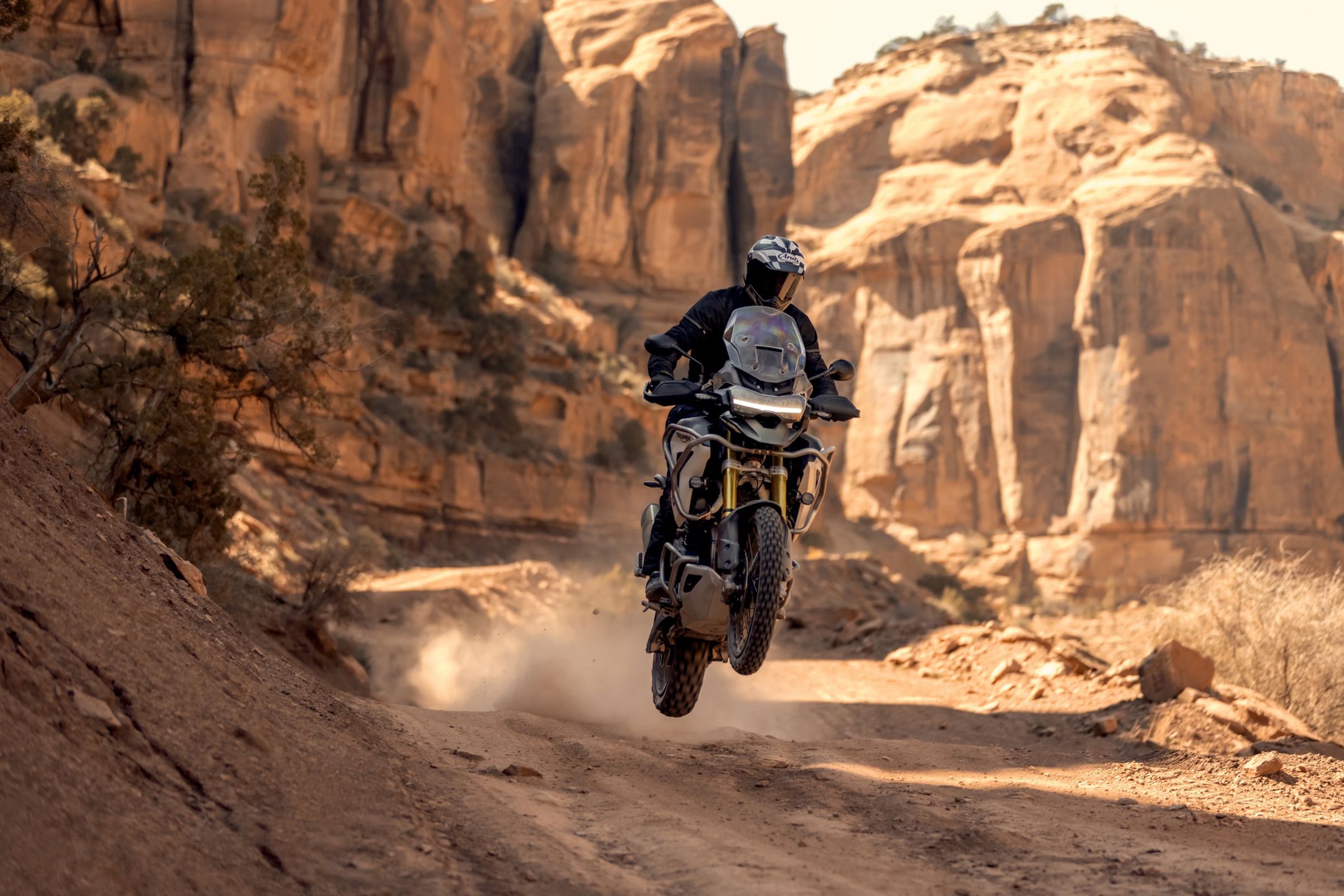 Triumph Tiger 1200
