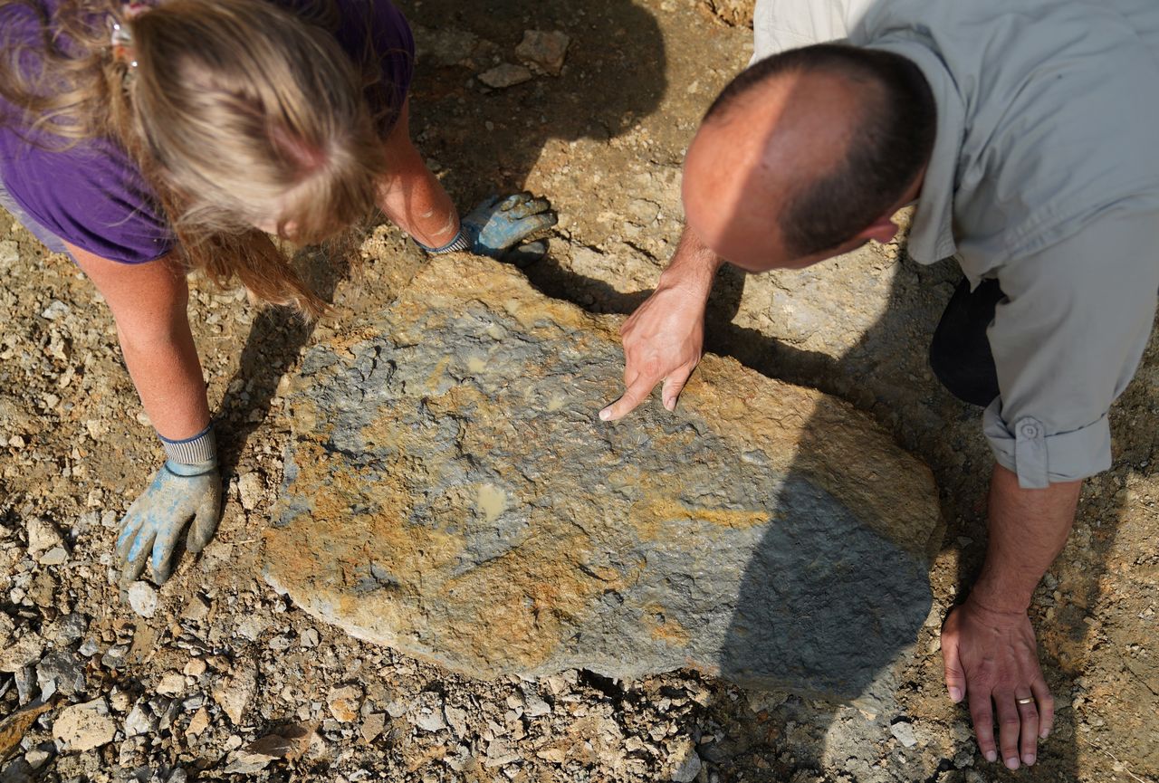 Pierwsza polska "kuzynka" papugoryb. Odkrycie w Górach Świętokrzyskich