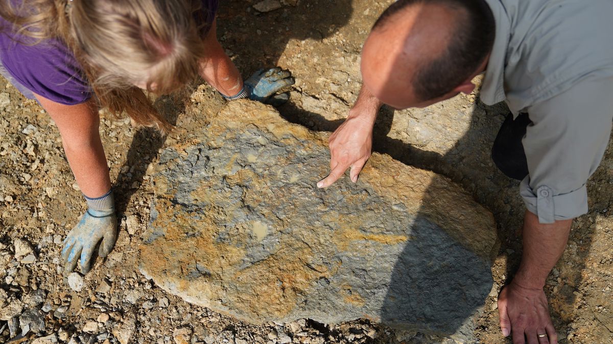 Wykopaliska — zdjęcie ilustracyjne