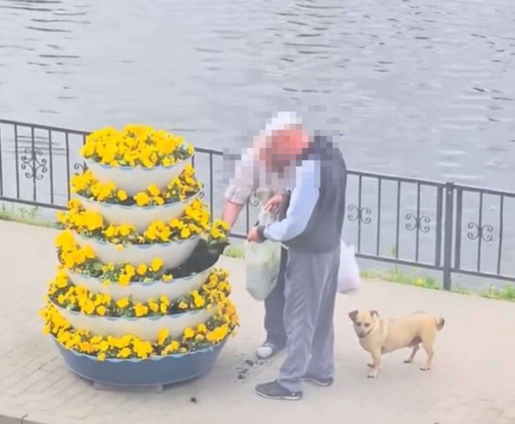 Mężczyźni ukradli bratki w centrum Wyrzyska