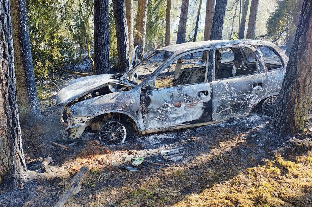 Spalony samochód w lesie. Tego się nikt nie spodziewał