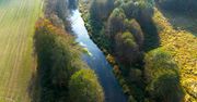 Między Rurzycą a Łomnicą. Przyroda Gminy Szydłowo