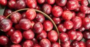 Na co pomaga żurawina i z czym smakuje najlepiej? Oto odpowiedź