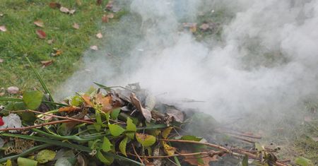 Czy za palenie liści można dostać mandat? Przepisy wskazują jasno