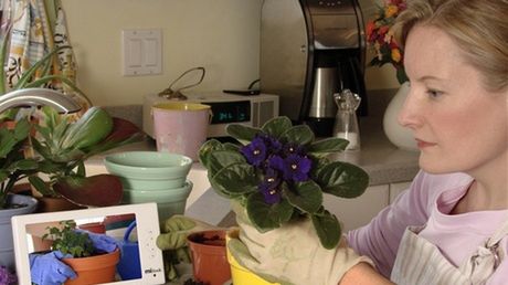 miBook - seksistowski PDA 1