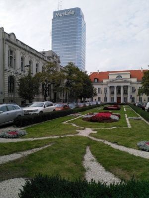 Obraz