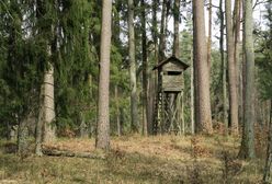 Pomylił chłopca z dzikiem. Sprawa trafiła do prokuratury