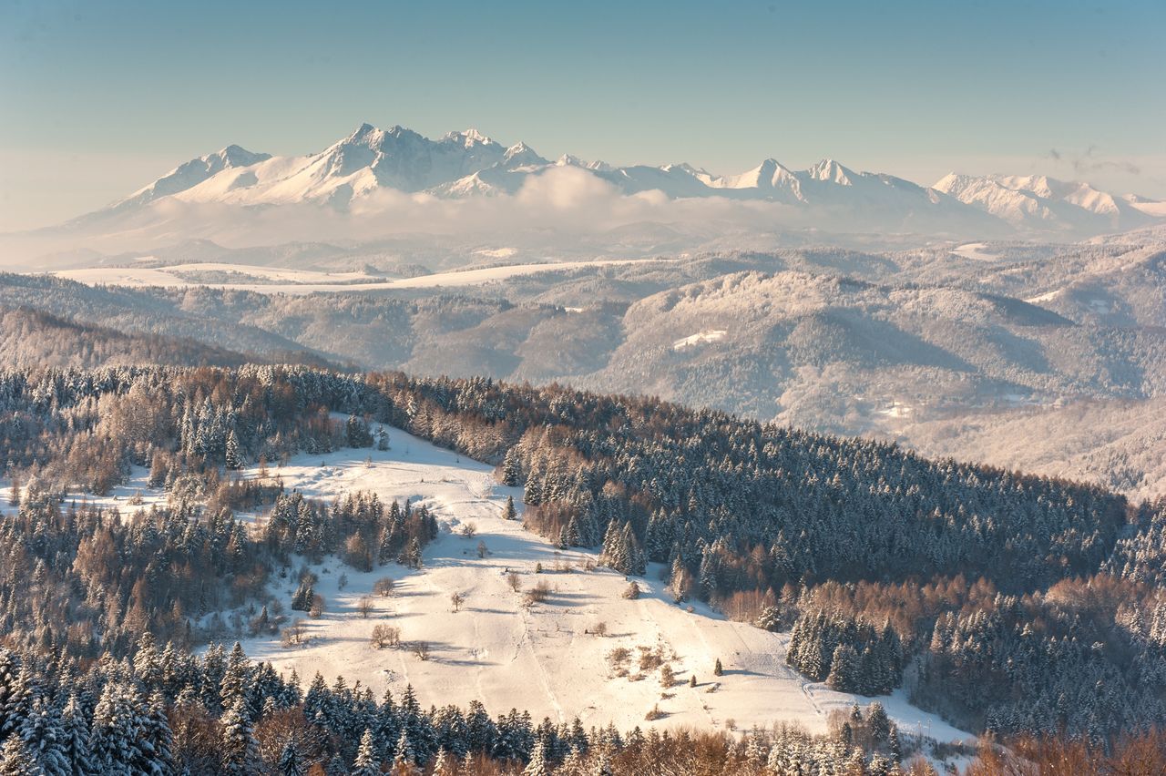 Ferie 2022. Ogromna liczba wypadków narciarskich w Beskidzie Sądeckim