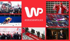 Nowa odsłona kampanii Wirtualnej Polski. Kreacje oparto na pomysłach pracowników