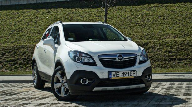 Zdjęcie ilustracyjne do artykułu