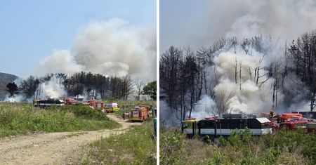 "Ofiary są potwierdzane". Katastrofa samolotu w Korei Południowej