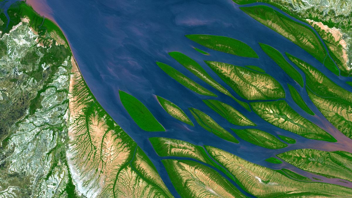 Wybrzeże Madagaskaru wygląda z kosmosu jak ośmiornica 1