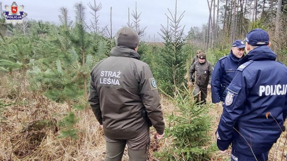 Przed świętami policja i straż leśna patrolują lasy