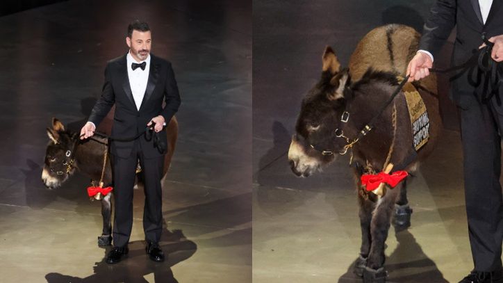 Internauci OBURZENI ściągnięciem oślicy na Oscary