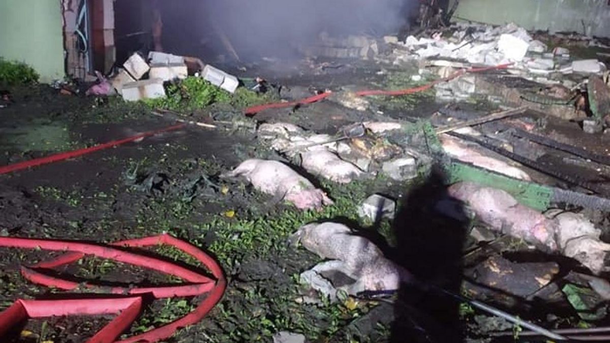 W miejscowości Galinki (woj. łódzkie) 2,5 tysiąca świń spłonęło żywcem.