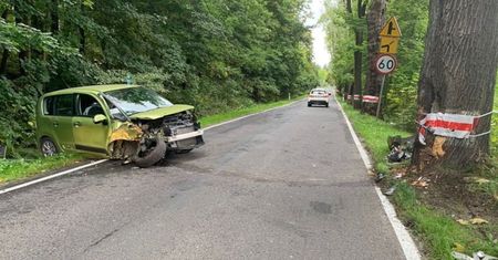 Uderzył w drzewo na prostej drodze. Twierdził, że to przez pszczołę