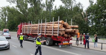 Rewolucja w sprzedaży drewna. Minister odkrył karty