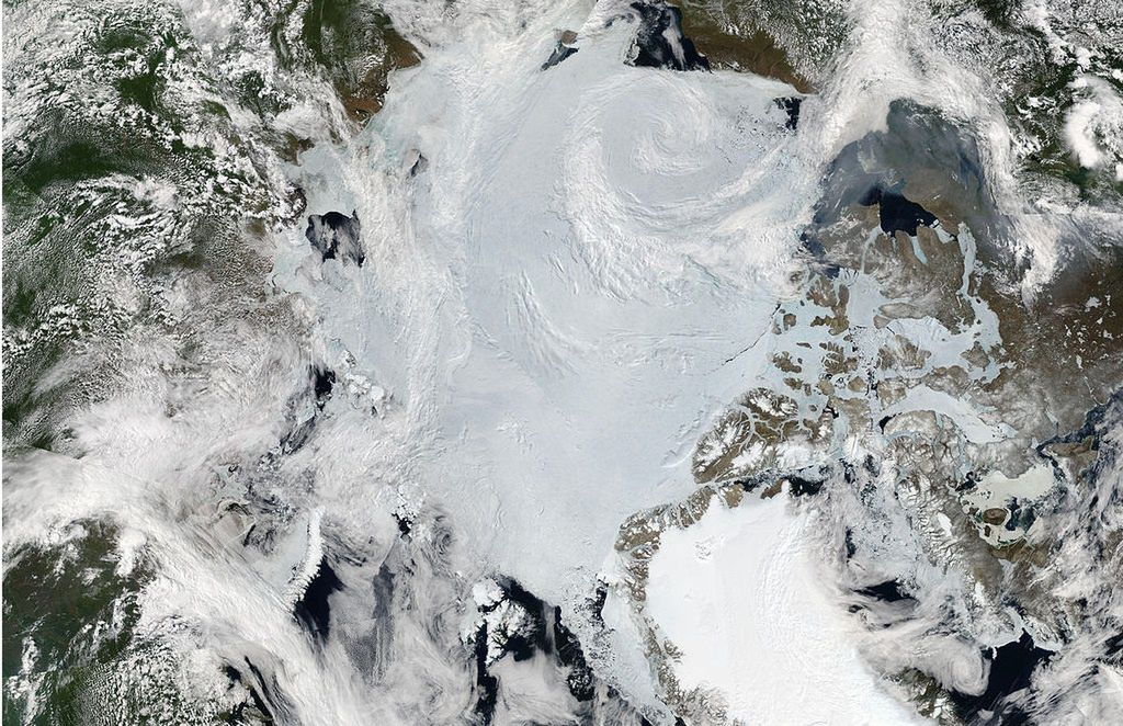 Mozaika obrazów Arktyki autorstwa MODIS.