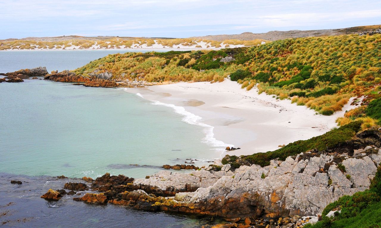 Falklandy – co warto zobaczyć w tym zakątku świata?