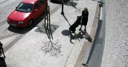 Wstrząsające nagranie z monitoringu w Lęborku. Trzy osoby zaatakowane