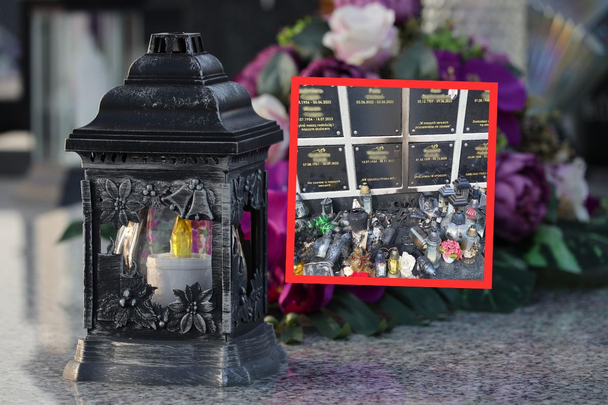 Widok na cmentarzu. Ostry komentarz. "Bezwzględny zakaz"