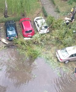 Nawałnice nad Polską. Zalane domy, powalone drzewa