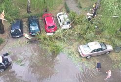 Nawałnice nad Polską. Zalane domy, powalone drzewa