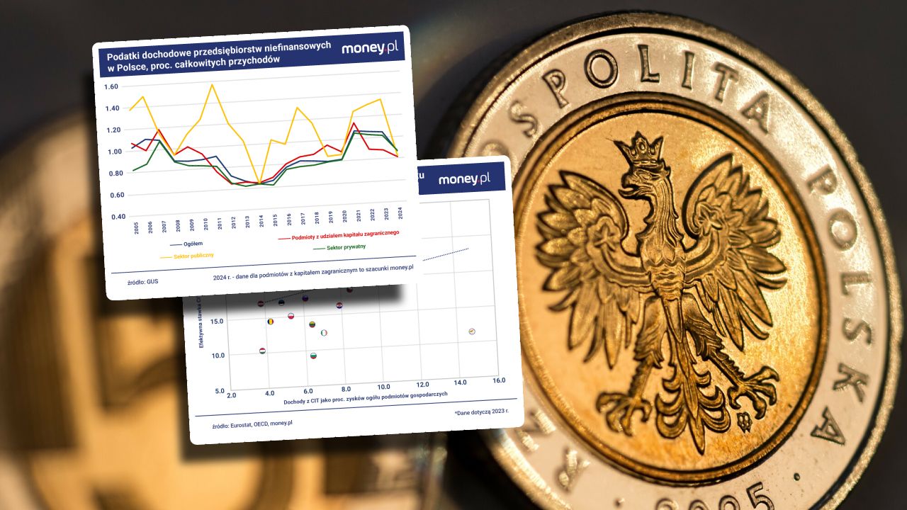 Polska to podatkowe eldorado? Nie tylko zagraniczne firmy płacą mało [ANALIZA]