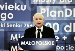 Kontrowersje wokół kampanii PiS. Media: trzy osoby z zarzutami