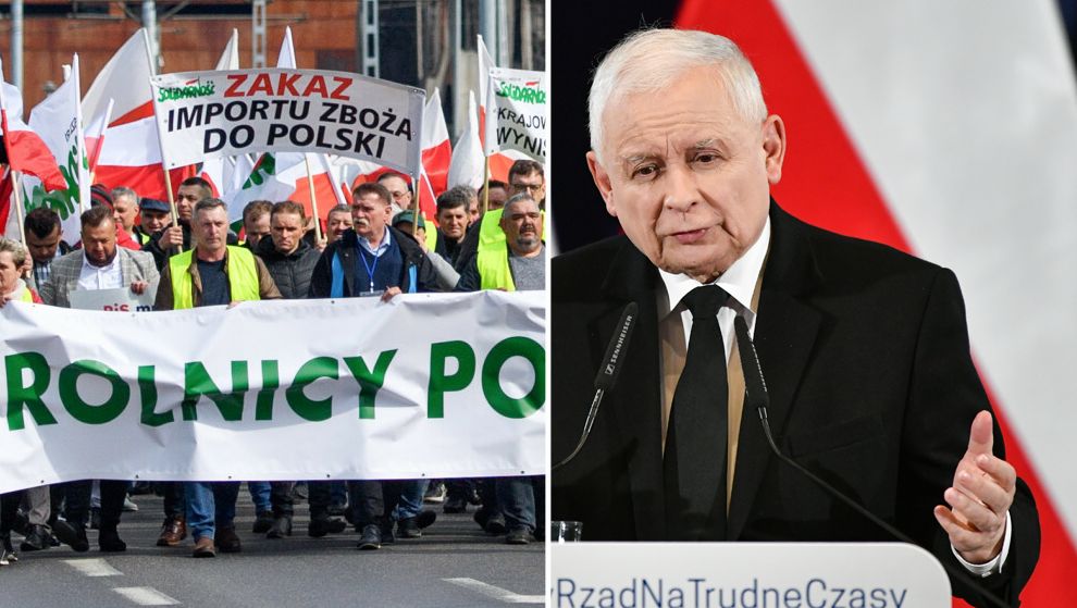 "Totalna panika" na granicy. "To jest absurd, niszczenie działalności gospodarczej"