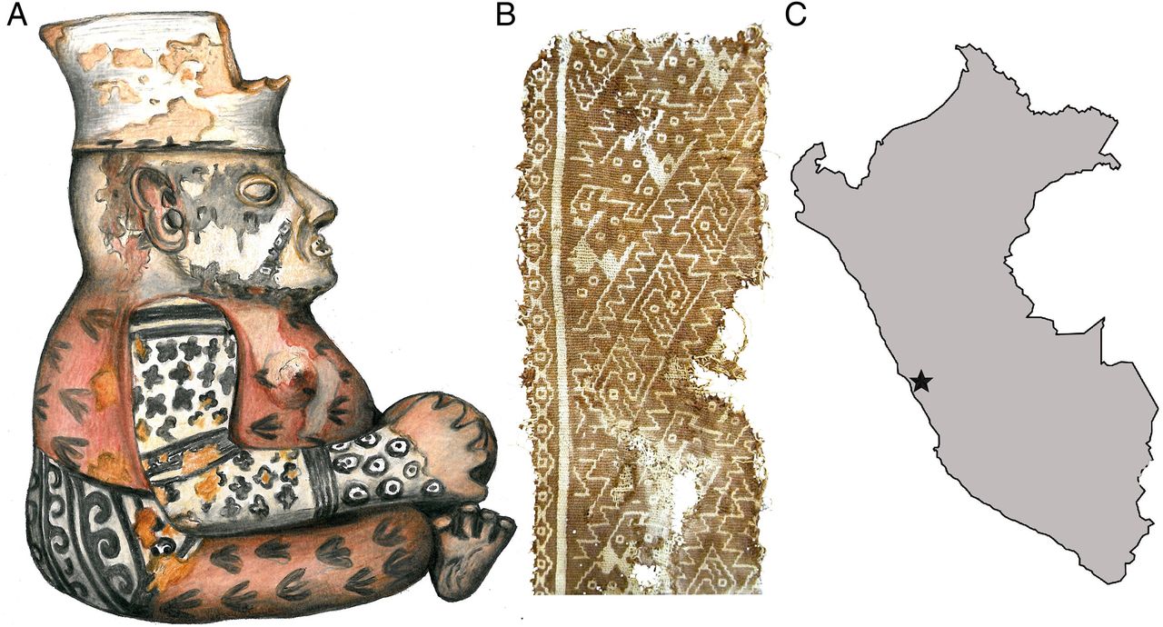 Chancay culture from Peru. Photo from an article published in PNAS "The hidden artistic complexity of Peru's Chancay culture revealed in tattoos through laser-stimulated fluorescence"