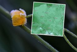 Idzie wielka zmiana w pogodzie. Prognoza IMGW na 10 dni