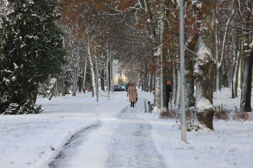 Lubuskie: Gotowi na zimę? Właśnie pokazała pazurki. Sypnęła śniegiem jak z worka