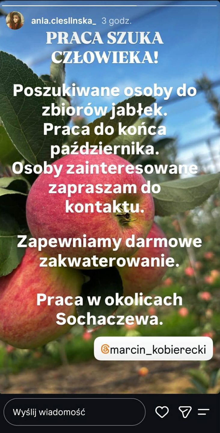 Bohaterowie "Rolnik szuka żony" szukają pracowaników