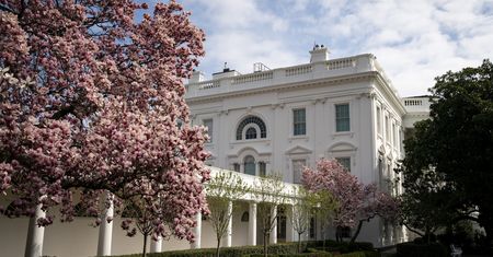 Donald Trump robi porządki w Białym Domu. Wytnie 200-letnią mangnolię