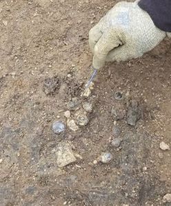 Sensacja archeologiczna na budowie. Odkrycie z VII wieku jest warte fortunę