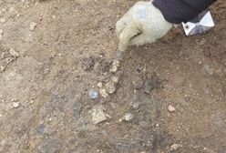 Sensacja archeologiczna na budowie. Odkrycie z VII wieku jest warte fortunę