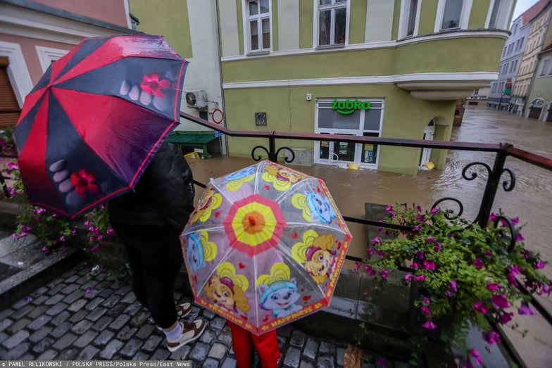 Już 80 Żabek zamkniętych. Pompy i worki nie pomogły. "Franczyzobiorcy będą mieć zapewnioną pomoc"