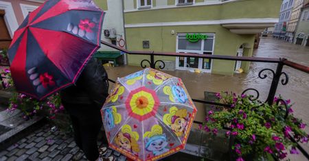 Już 80 Żabek zamkniętych. Pompy i worki nie pomogły. "Franczyzobiorcy będą mieć zapewnioną pomoc"